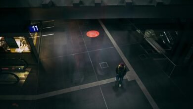 next level online hub